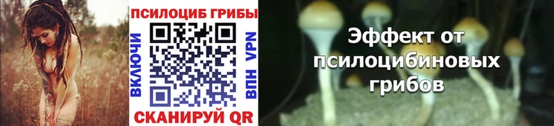 Псилоцибиновые грибы мицелий  Байкальск 